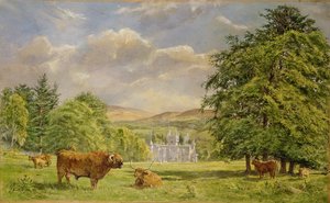 Bulls at Balmoral, 1988 (wc)